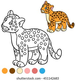 Coloring page with colors. Little cute baby jaguar smiles.