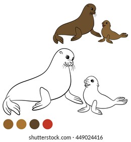 Coloring page with colors. Mother fur seal with her little cute baby.