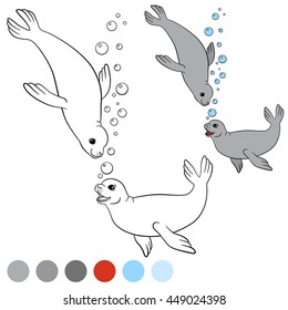 Coloring page with colors. Two little cute seals swim and smile.