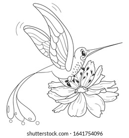 Coloring page. Colouring picture with hummingbird. Cartoon outlined design for nursery poster, t shirt print, kids apparel, vintage greeting card.