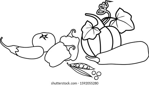 Coloring page. Composition of different vegetables isolated on white background