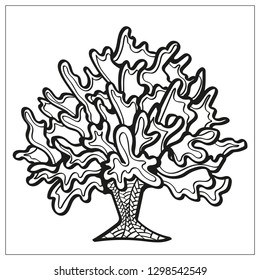 Coloring page, coral