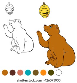 Coloring page. Cute bear looks at the beehive with honey and smiles.
