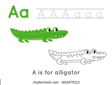 Coloring page with cute cartoon alligator. Alphabet tracing worksheet with letter A. Handwriting practice for kids.