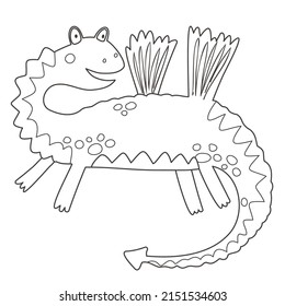 Farbige Seite mit süßem Drachen auf weißem Hintergrund. Märchenhafte Schwarz-Weiß-Kontur-Vektorgrafik für ein Farbbuch.