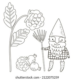 Coloring page with a cute gnome and berries. Outline vector autumn illustration. Black and white illustration for a coloring book.
