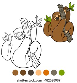 Coloring page. Cute lazy sloth hangs on the tree branch and smiles.