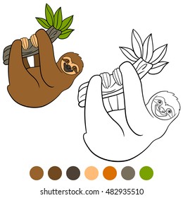 Coloring page. Cute lazy sloth hangs on the tree branch and smiles.