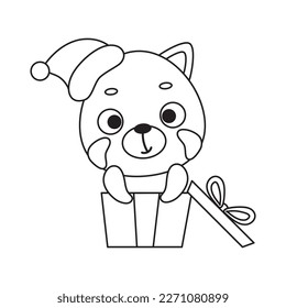 Coloring page cute little red panda sitting in gift box. Coloring book for kids. Educational activity for preschool years kids and toddlers with cute animal. Vector stock illustration