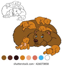 Coloring Page. Daddy Bear With His Little Cute Baby Bears.