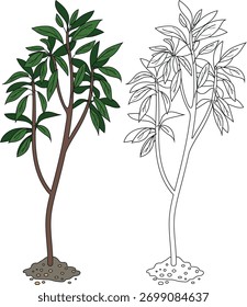  Coloring page with deciduous tree isolated on white background