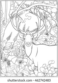 Coloring page with deer in forest. Coloring book for adult and older children. Vector illustration. Outline drawing. 