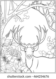 Coloring page with deer in forest. Coloring book for adult and older children. Vector illustration. Outline drawing. 