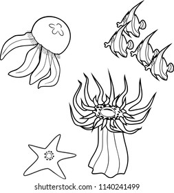 Coloring page.  Different marine animals