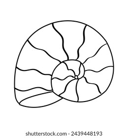 Coloring page with doodle style sea shell. Black and white cute cartoon style mollusk conch. Isolated on white. Single element.