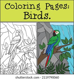 Colorear página con ejemplo. El guacamayo verde loro se sienta y sonríe. La cascada está al fondo.