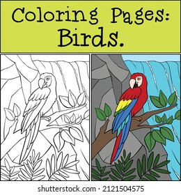 Coloring page with example. Cute parrot red macaw sits and smiles. The waterfall is in the background.