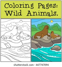 Coloring page with example. Mother fur seal with her little cute baby lay on the rocks and smile.