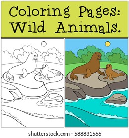Coloring page with example. Mother fur seal with her little cute baby lay on the rocks and smile.