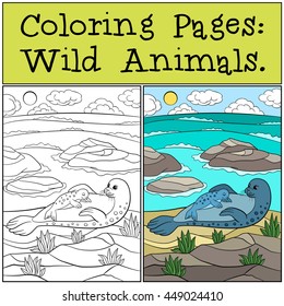 Coloring page with example. Mother seal with her little cute baby lay on the sand near the ocean and smile.