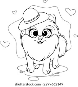 Coloring page. Fashionable and cute dog, pomeranian spitz with hat