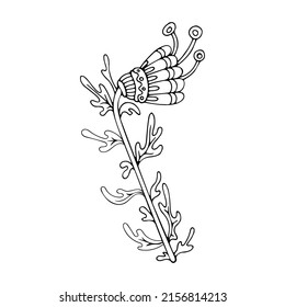 Coloring page flower line art. Floral fairy pattern of garden plant. Hand drawn vector illustration. Simple tribal doodle. Summer coloring book for children and adults.