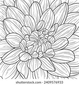 Coloring page flower petals close up. Printable botanical illustration, floral drawing. Spring flower background for cards