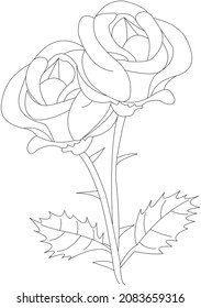 Coloring page flower roses with  leaves and stems