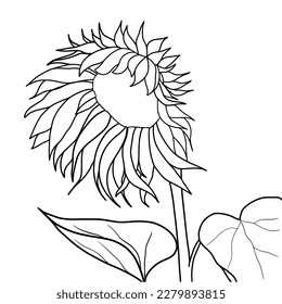  	
Coloring page of a flower with the word sun flower on it. ink illustration. sun flower isolated on white background