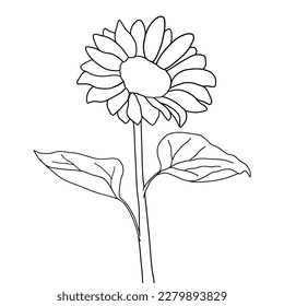  	
Coloring page of a flower with the word sun flower on it. ink illustration. sun flower isolated on white background