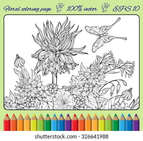 coloring page with flowers and butterfly