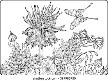 coloring page with flowers and butterfly