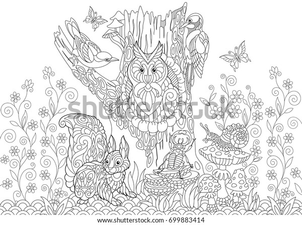 55 Coloring Pages Of Cuckoo Bird Pictures