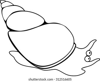 Coloring page freshwater snail