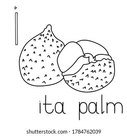 Color de la página fruta y verdura ABC, Letra I - ita palmera, carta de color educada para la creatividad