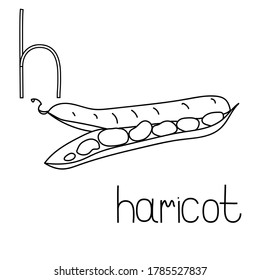 Coloring page fruit and vegetable ABC, Letter H - haricot, educated coloring card for creativity