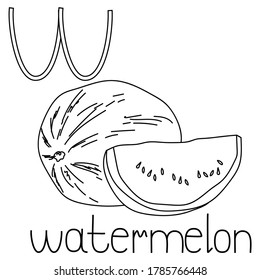 Coloring page fruit and vegetable ABC, Letter W - watermelon, educated coloring card for creativity