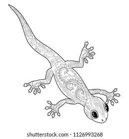 Coloring page with gecko in zentangle style. Black white hand drawn doodle with reptile for art therapy. Sketch for cover, poster, print, t-shirt. Vector