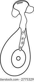 Coloring page with germinating pollen ghrain isolated 