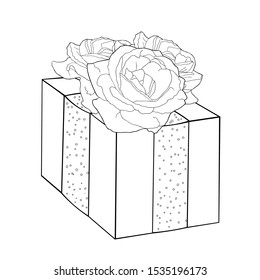 coloring page,  gift in a beautiful package with a rose flower vector illustration