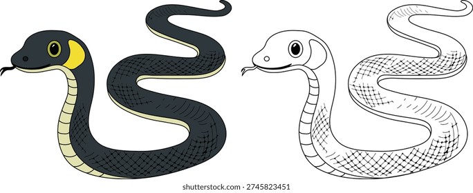 Coloring page with grass snake (Natrix natrix) isolated on white background