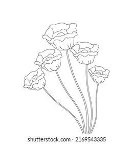 colorear página adormidera de flor dibujada a mano de ilustración vectorial en fondo blanco