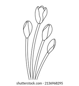 Coloring page with Han-drawn Black and white vintage flowers