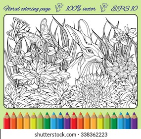 coloring page of hare and butterfly in flowers