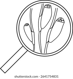 Coloring page with head louse egg (nit) attached to a hair under magnifying glass isolated on white background. Lice check	