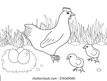 Coloring page - Hen with chicken
