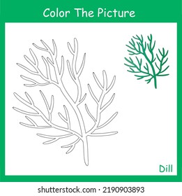 coloring page , herb plants , Dill