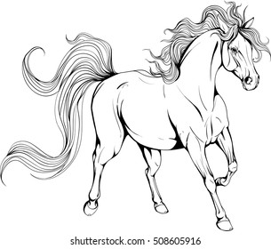 Coloring page with horse