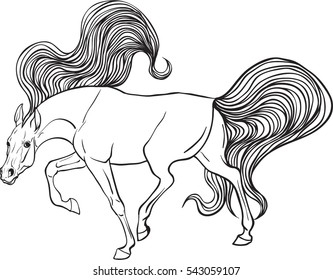 Coloring page with horse