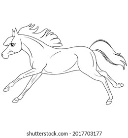 Coloring page with horse. Painting for children.
